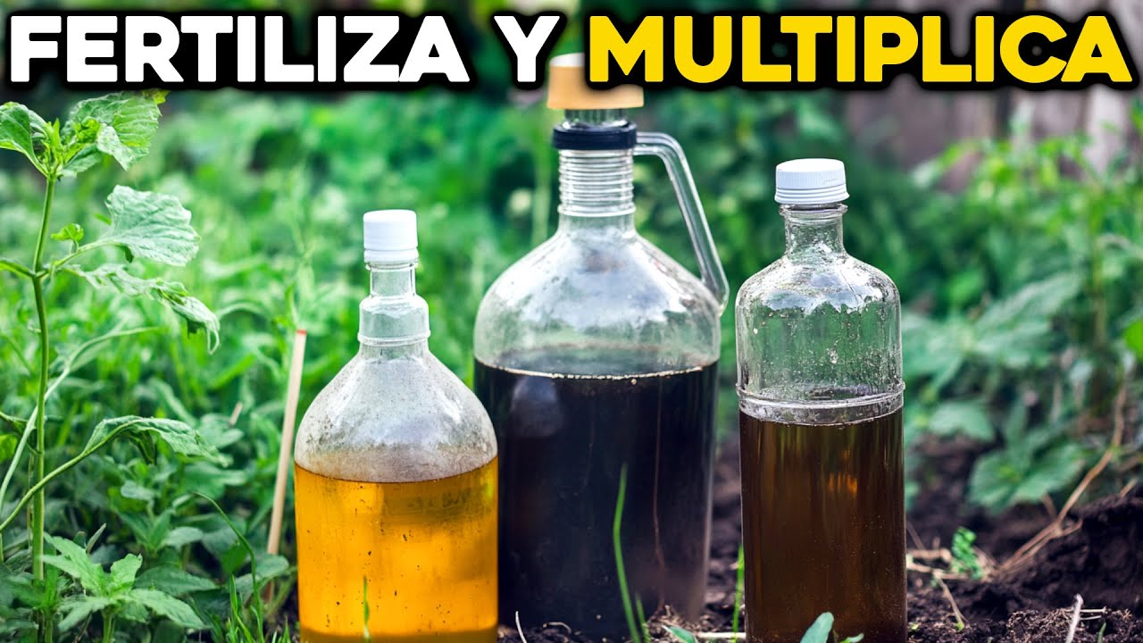 Crea tus propios Fertilizantes Líquidos caseros en minutos