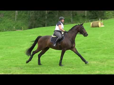 Sonja Kager - Henry K - A-leicht - Olachgut 2018