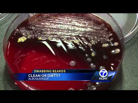 鬍子有時和廁所一樣髒 (Beards sometimes as dirty as toilets)