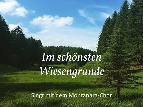 Im schönsten Wiesengrunde - Montanara-Chor