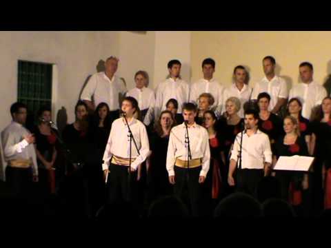 Klapa Serpentina   Branimire Kneže, Sine Našeg Roda