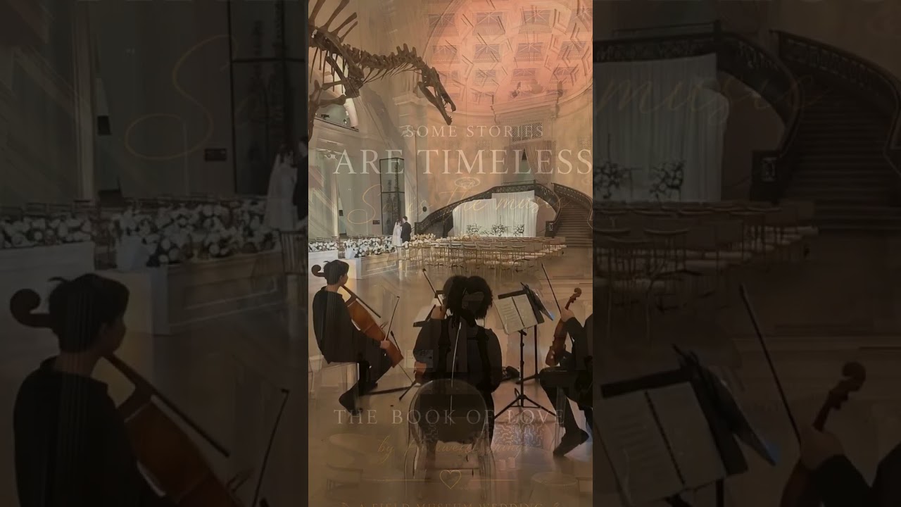 Promotional video thumbnail 2 for Parkwest Strings