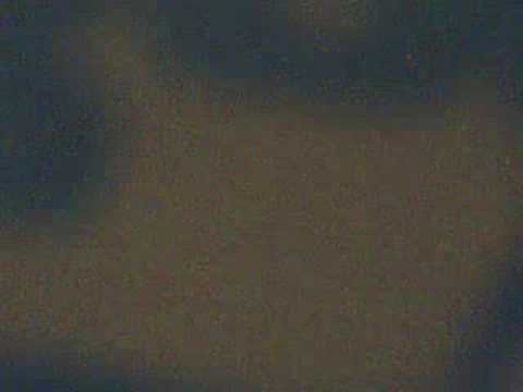 Beef- Gary Clail on-U Sound System (Bim Sherman)