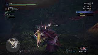 ［MHW：IB］もうすぐ年越しや～参加していくかい？