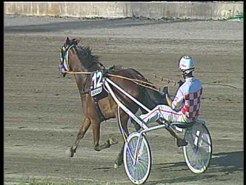 Trotto 07/05/2017 - 6ª corsa