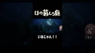 いるじゃん！【ほの暮しの庭】 #shorts