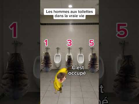 Les toilettes pour hommes selon les filles vs les mec #humour #drôle #catmemes