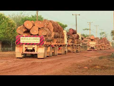法國巴黎銀行將停止資助亞馬遜森林砍伐活動 (BNP Paribas to stop funding Amazon deforestation)