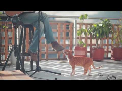 VIAJERO (Producciones). ANDRÉS CORREA // REALIDAD