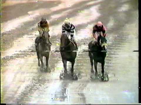 Slew o' Gold - 1984 Woodward Stakes (CBS)
