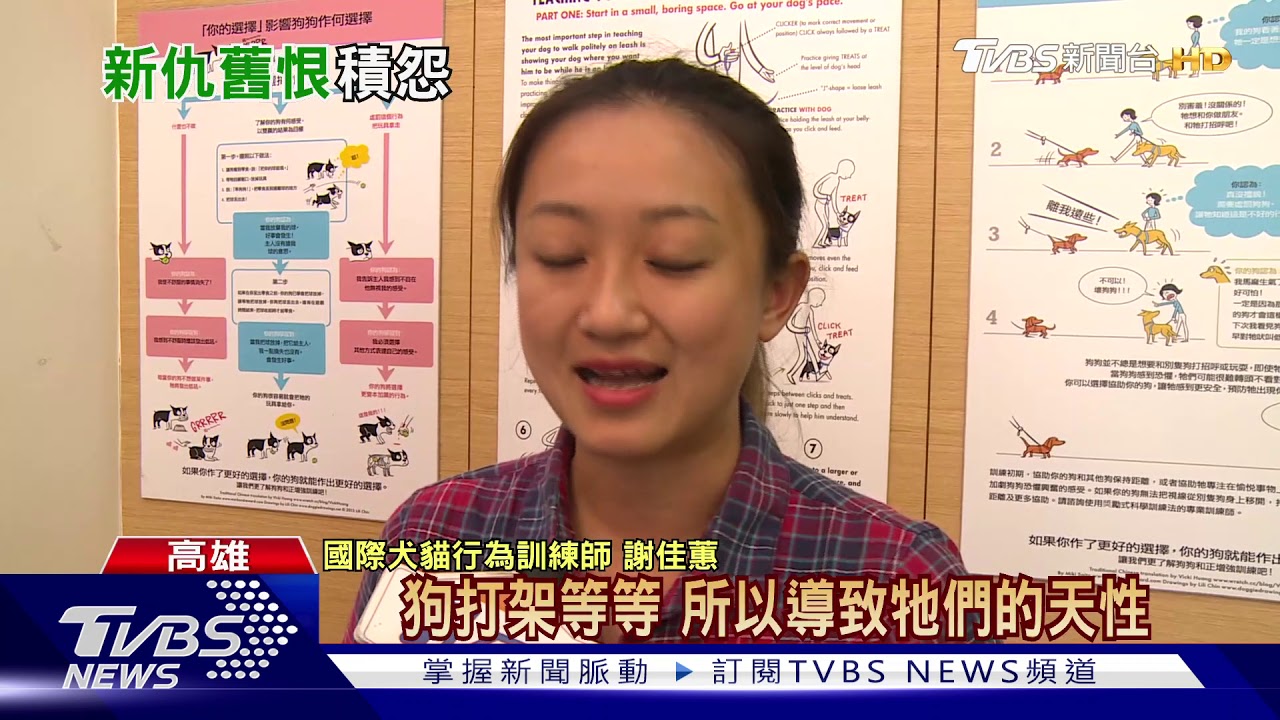 狗咬狗鄰居結怨 比特犬主控小黑狗狂吠挑釁