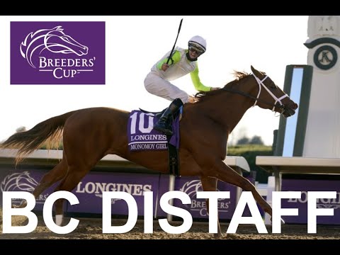 Breeders' Cup Distaff Preview