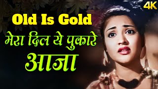 Download lagu Old Hindi Song | मेरा दिल ये पुकारे आजा | Mera Dil Ye Pukare Aaja | Evergreen Old Song | Lata Hit mp3 Download lagu Old Hindi Song | मेरा दिल ये पुकारे आजा | Mera Dil Ye Pukare Aaja | Evergreen Old Song | Lata Hit mp3