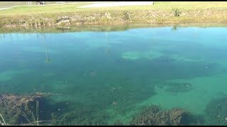 Super Secret Fishing Spot