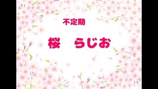桜ちゃんねる のライブ ラジオ