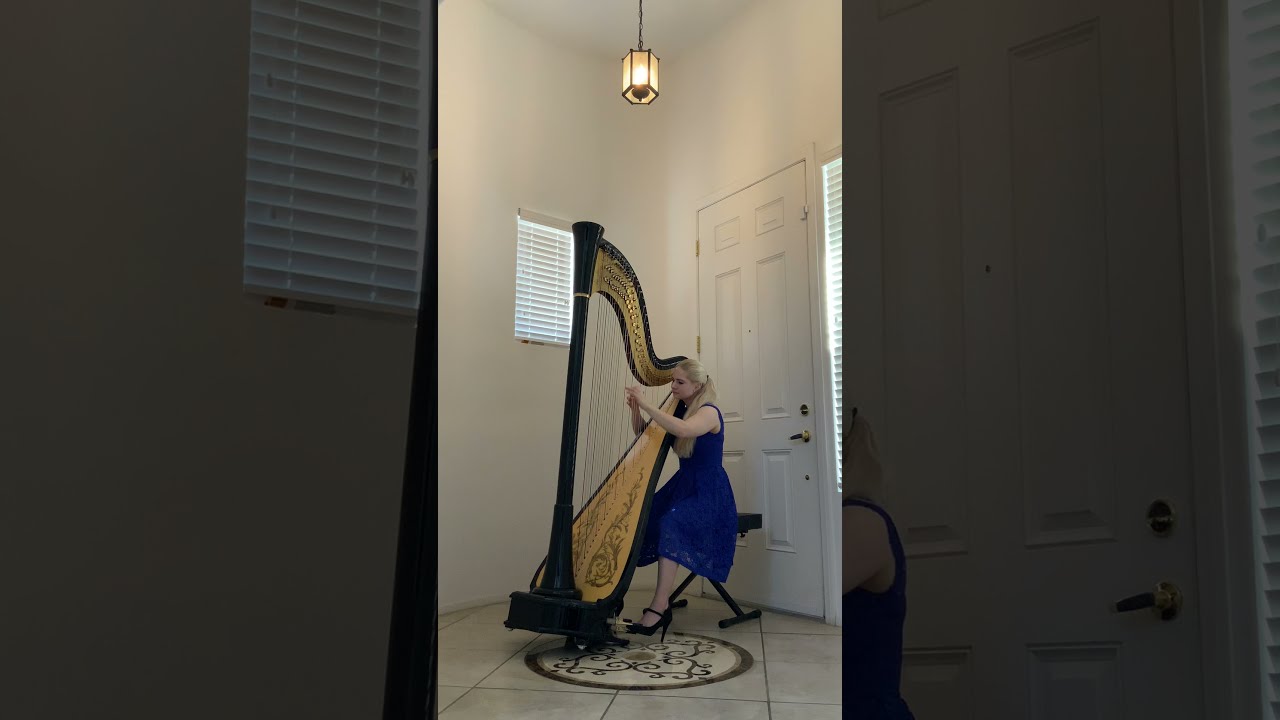 Promotional video thumbnail 3 for Melody in Flight, Harpist