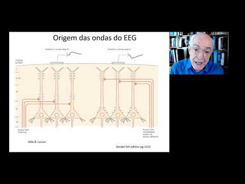EEG Mecanismos v 2021