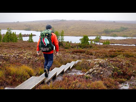 THE OVERLAND TRACK  | A Cinematic Journey