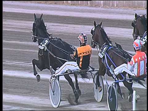 Trotto 17/04/2016 - 6° Corsa