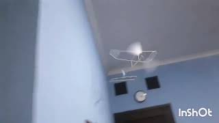 PP Stick 55 cm | Batavia 'F1D' 5