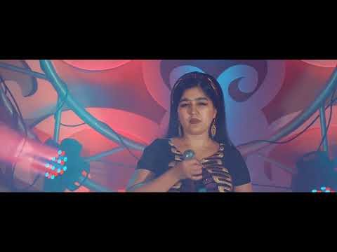 Насиба - Ҳаво сардасту боронӣ / Nasiba - Havo sardastu boroni persian music 2020