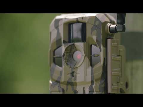Connect Cellular Camera by Stealth Cam