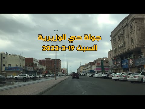 الفيديو