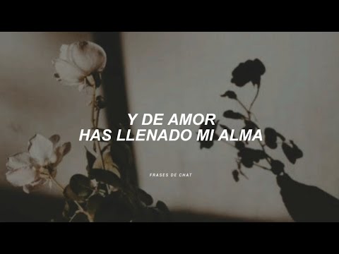 Los Ángeles Azules - Como Te Voy A Olvidar (Letra)