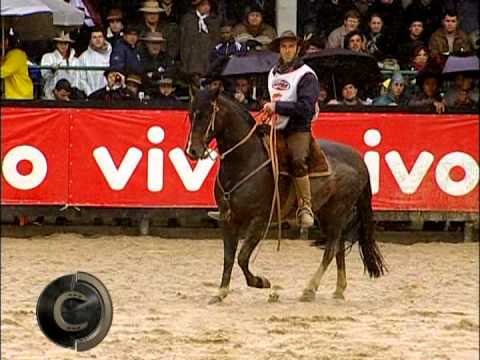 Freio de Ouro 2014 is looking for a second title and Criadero Chileno is in the final for the fir...