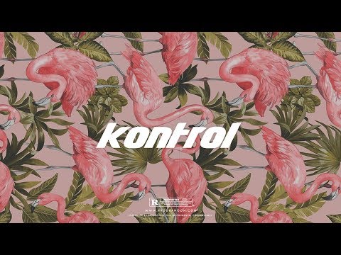 "Kontrol" - Drake x Partynextdoor Type Beat