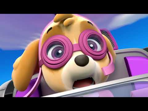 Marshall And Skye Face Their Fears - Paw Patrol