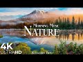 MORNING RELAXING MUSIC - NATURE RELAXATION FILM 4K - PEACEFUL RELAXING ..