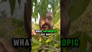 Anthropic attacked by 24.000 AI bots 😱☠️😅