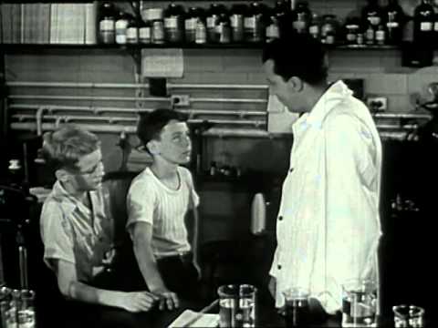 Synthetic Fibers Nylon and Rayon (1949)