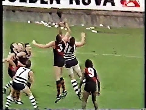 1990 Rnd 5 Geelong V Essendon