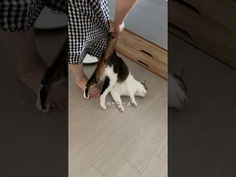 할머니 앞에서만 퇴마되는 악귀