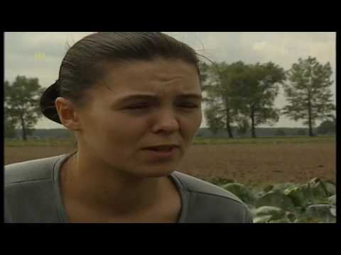 Złote Łany odcinek 6