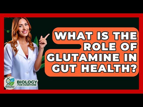 What Is The Role Of Glutamine In Gut Health? - Biology For Everyone