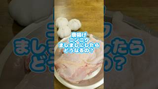 唐揚げ、ニンニクマシマシしたらどうなるの？　#からあげ  #ずんだもん  #簡単レシピ