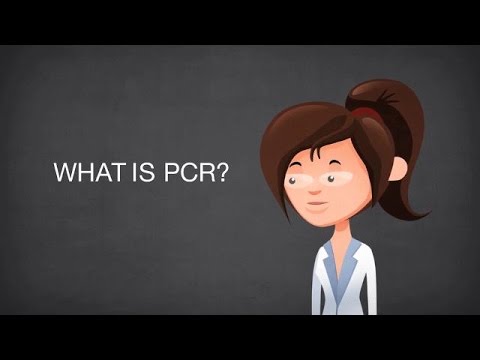 Introduction to PCR