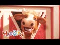 Had A Little Rooster Wee Sing