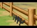 Cartoon Flv