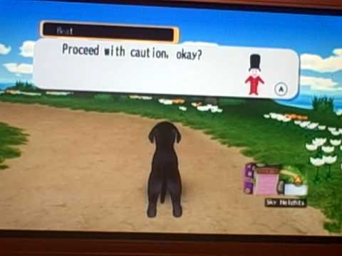 dogz wii test