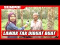 Lawak Tak Dibuat Buat Temuramah Dengan Penoreh Getah