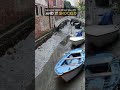 canals in Venice became shallow AND IT SHOCKED #shorts