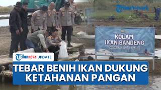 Wakapolda Metro Jaya & Kapolres Metro Bekasi Tebar Benih Ikan, Dukung Ketahanan Pangan Nasional