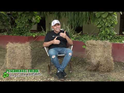 🐴 Así se Forja un Campeón: Cría y Adiestramiento en la Pesebrera El Trébol (Arjona, Bolívar)