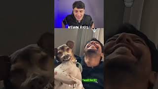 Outros pets imitando seus donos X o último 😨