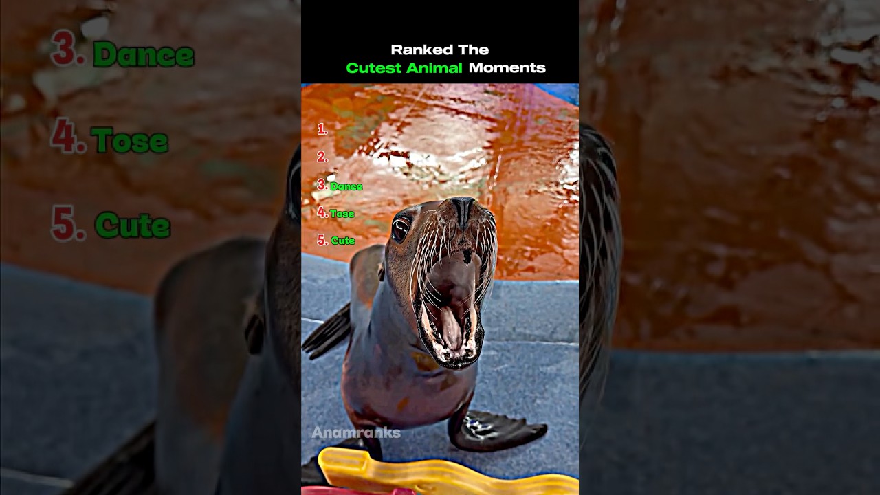 These Cutest Animal Moments Will MELT Your Heart 😭 (Ranking)" #shorts