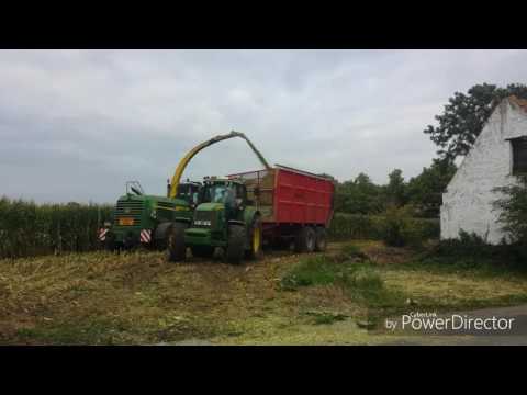Maïs hakselen met Dirk Soete-Feys in de buurt van Gistel.